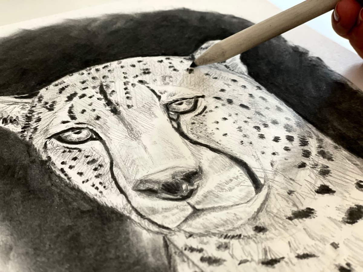 Cheetah cub Drawing by Chuchu Cao | Saatchi Art